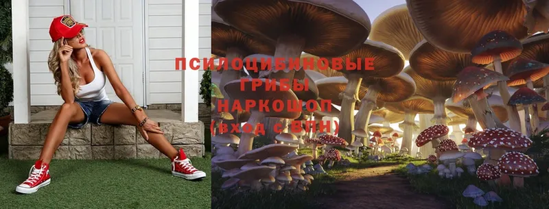 Галлюциногенные грибы MAGIC MUSHROOMS  Куса 